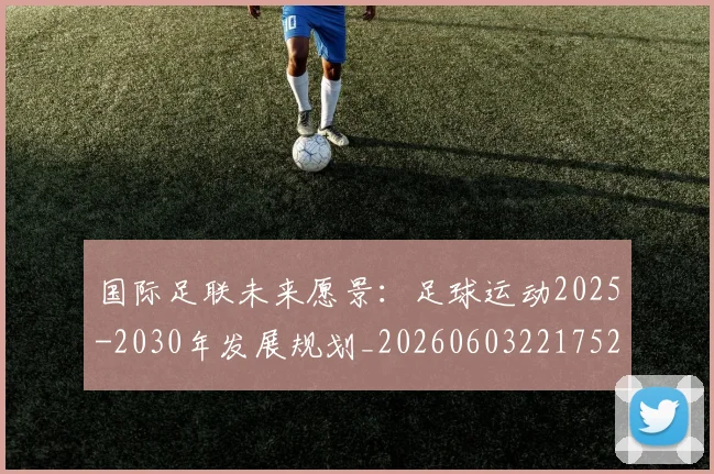 国际足联未来愿景：足球运动2025-2030年发展规划_20260603221752